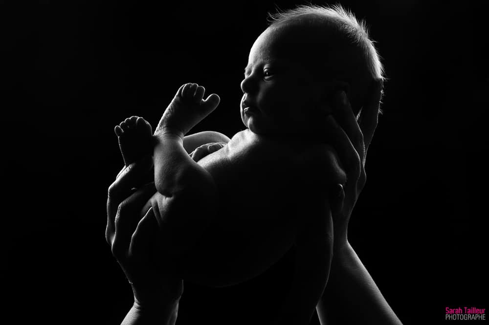 photographe, séance photo, sécurité, bébé, pose, nouveau-né